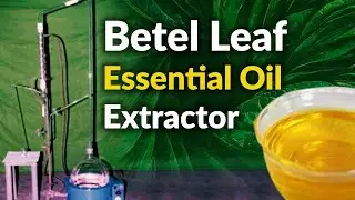 Betel Leaf Essential Oil Extractor