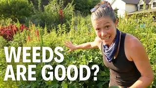 Weeds Are the Answer to Your Garden Problems!