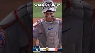 The Mets' season summed up in 30 seconds