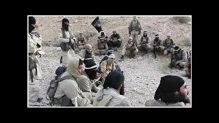 В плену СДС находится более 400 иностранных боевиков ИГ