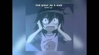 ⚝two birds on a wire-sped up/-2:56/⸝⸝ ₊˚₊ ๑ song