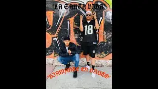 Diamante en Bruto/La Santa Vida