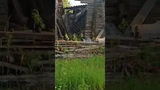 17 июня 2024 г.(1)
