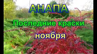 АНАПА. ОРЕХОВАЯ РОЩА. ГАЛЕЧНЫЙ ПЛЯЖ.