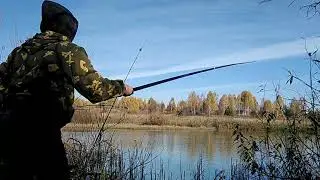 Рыбалка за живцом
