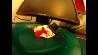 Melting Snowman Timelapse