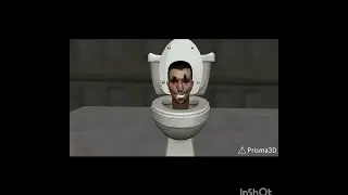 Скібіді тест.