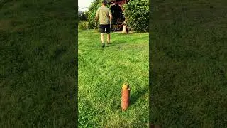 Shooting an Apple with Handcrafted Bow and Arrow 🏹🍏