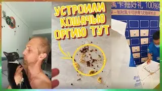 ДЕНЬ С ЗУБАРЕВЫМ(#18,19) КАК ГАРАЖИК ЧАЕК ПОПИЛ