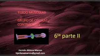 Tejido muscular sexto video parte II de 9. Hernán Aldana Marcos.