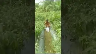 WOW PEDAS NYA CABAI DI KAMPUNG BOCAH VIRAL, BICAH AJAIB, MAINAN ANAK