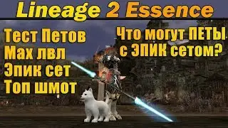 Что могут петы с эпик сетом? Топ шмот на петах мах лвла, тестим мощь в обновлении Lineage 2 Essence