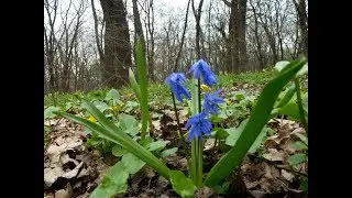Щетников Олег Апрель