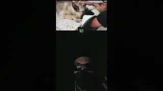 La despedida de un amigo