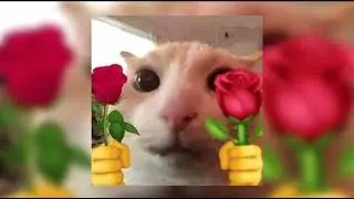 Joy Again - Looking out for you (sped up) 5 hours