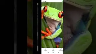 lagushkata