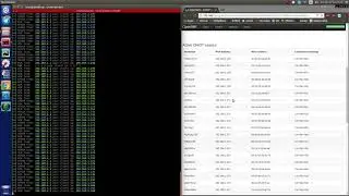 DHCP starvation