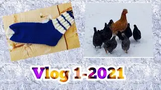 Vlog#1-2021