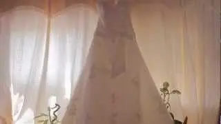 wedding hilights