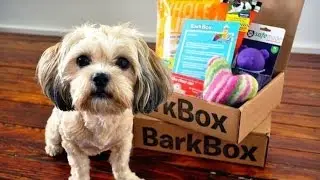 FREE BARKBOX FOR YOUR DOGGY