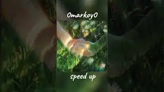 Тлей моя любовь - Zippo speed up / 0markoy0