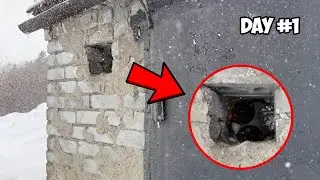 Майнинг Биткоина в 2024 году | Майнинг Криптовалюты в гараже
