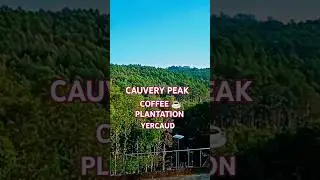CAUVERY PEAK YERCAUD || COFFEE TOUR || COFFEE PLANTATION #coffeeestate #coffeeplantation #yercaud