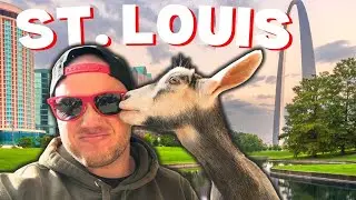 Best Things to Do in St Louis, Missouri