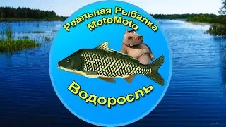Как поймать Водоросль на Рыбхозе [NEW] | Реальная Рыбалка