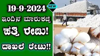 19-9-2024 l Today cotton prices in Karnataka l ಹತ್ತಿ ಗರಿಷ್ಠ ಬೆಲೆ ಎಷ್ಟು? #cottonprice ‎@BealertJob