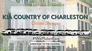 Online Shopper