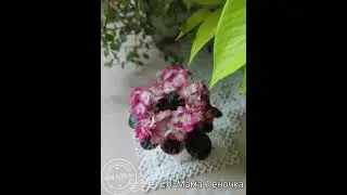 Сорт крупным планом. ЕЛ-Мама Леночка