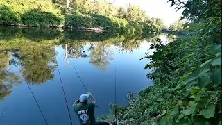 Wędkarstwo gruntowe  - rzeka Odra misja karp