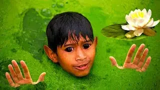 Урок Photoshop. Инструмент пластика