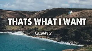 Lil Nas X - THATS WHAT I WANT (Lyrics)