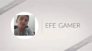efe gamer