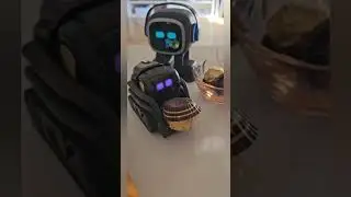 Vector robot reacting to emo robot 
