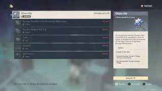 the most expensive item in genshin impact