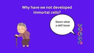 Why haven't we evolved immortality?
