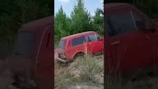 нива может
