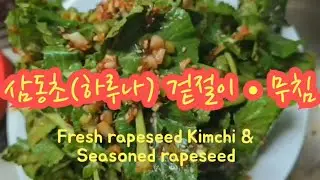 ❤️향긋한 봄나물(하루나,유채나물)겉절이 & 무침🇰🇷🌱korean spring herb kimchi