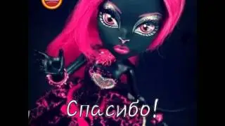 50 котиков на канале?!^0^