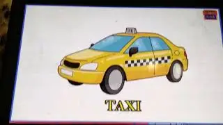 Happy max transport 