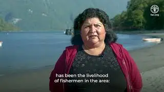 Strengthening puye governance and fisheries in a marine conservation area in Chilean Patagonia