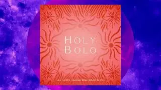 Holy Bolo (Official Audio) - Lee Harris, Narada Wise, Davor Bozic, Lana Sugarman and Brenda McMorrow