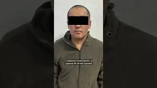What is known about the suspect in Aisuluu's murder?