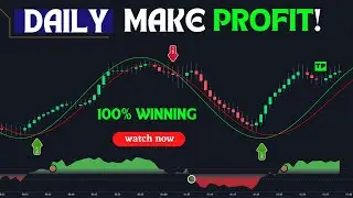 BEST HH LL Indicator on TradingView 2024 **NEW** | 100% Winning