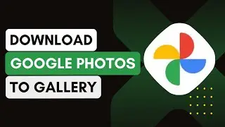 How To Download All Photos From Google Photos !