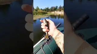 Ах ти ж!..😱 Утік! 🤷‍♂️ #shorts
