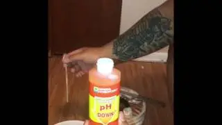 How to test  the pH of water (hydro grow)